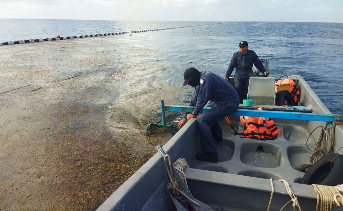 Marina despliega buques sargaceros para atender arribo de sargazo en Quintana Roo