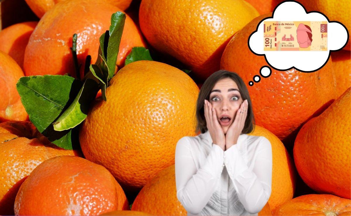 ¿Cuáles son las colonias con las rentas más baratas en Puebla? El