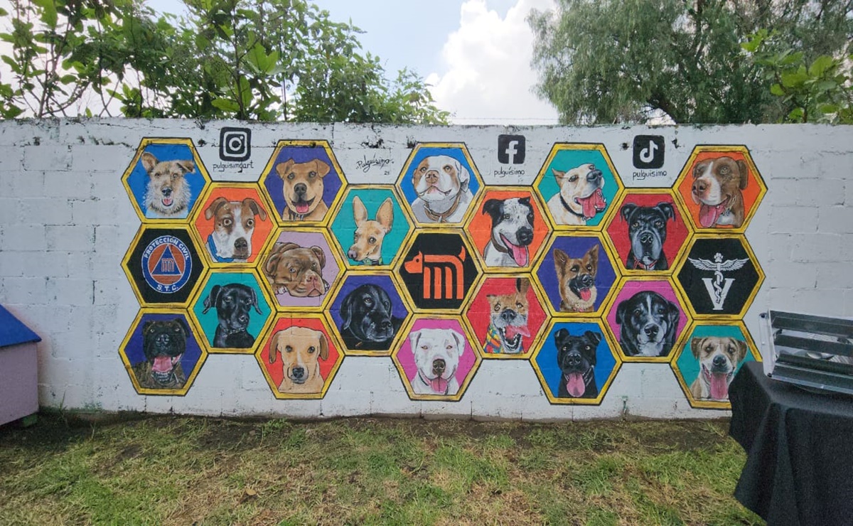 Centro de Transferencia Canina del Metro conmemora el Día Mundial del Perro