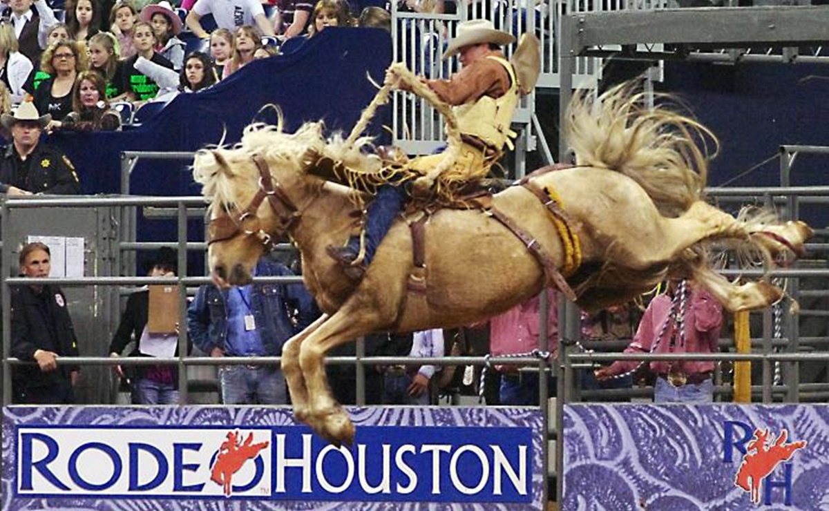 Rodeo en Houston 2023: conciertos, BBQ, desfiles y más experiencias para vivir