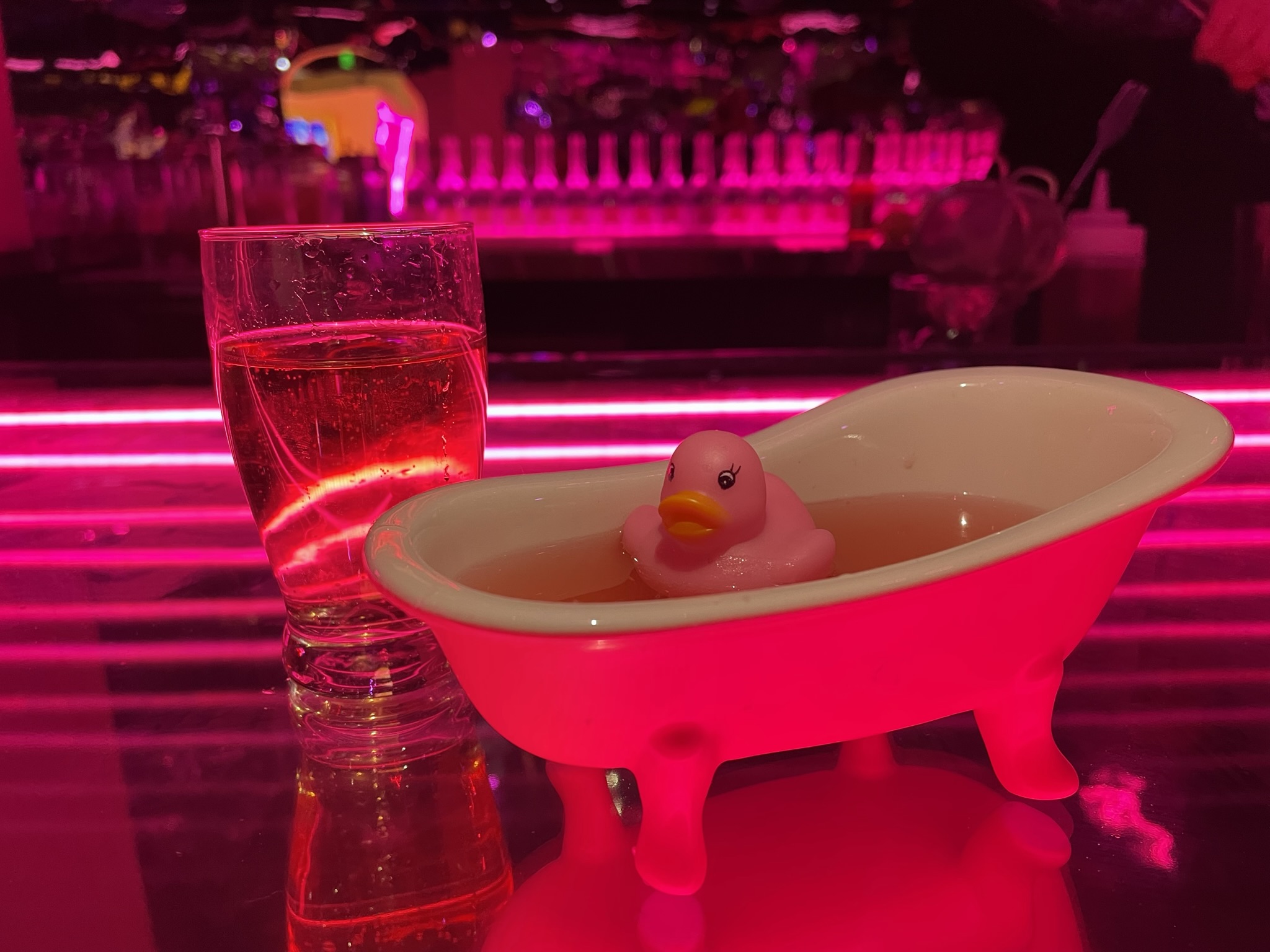 Visita el Arboreto y Jardín Botánico de Dallas por sólo 3 dólares TODO