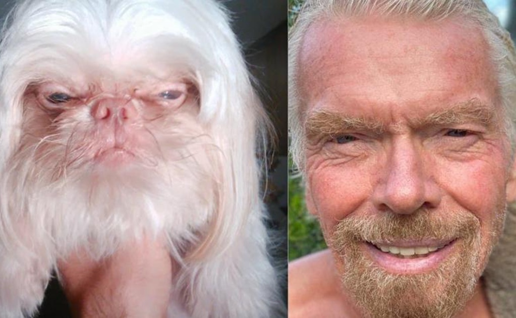 El perro que impresionó al mundo por su increíble parecido al multimillonario Richard Branson