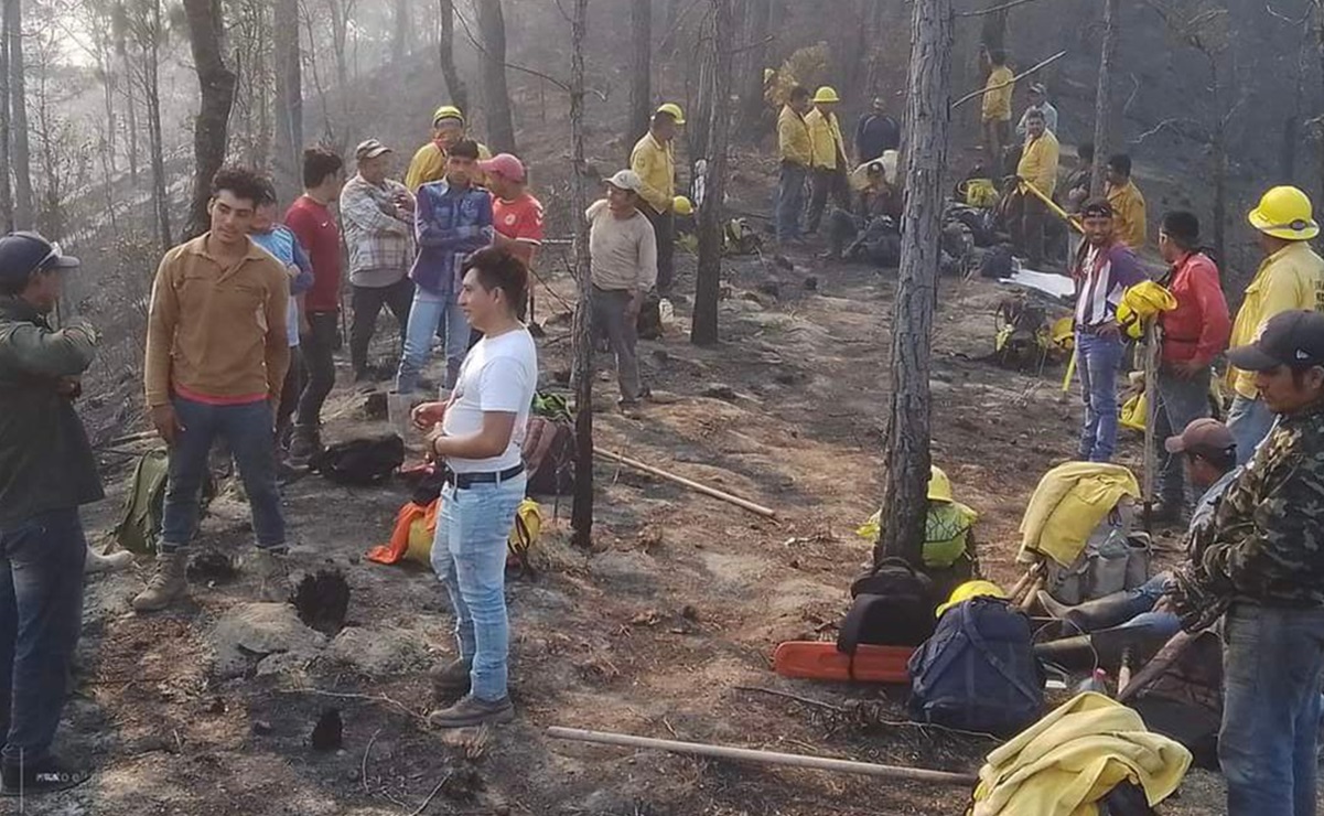 Incendios han arrasado 30 mil hectáreas en Los Chimalapas, Oaxaca: Comisión Estatal Forestal