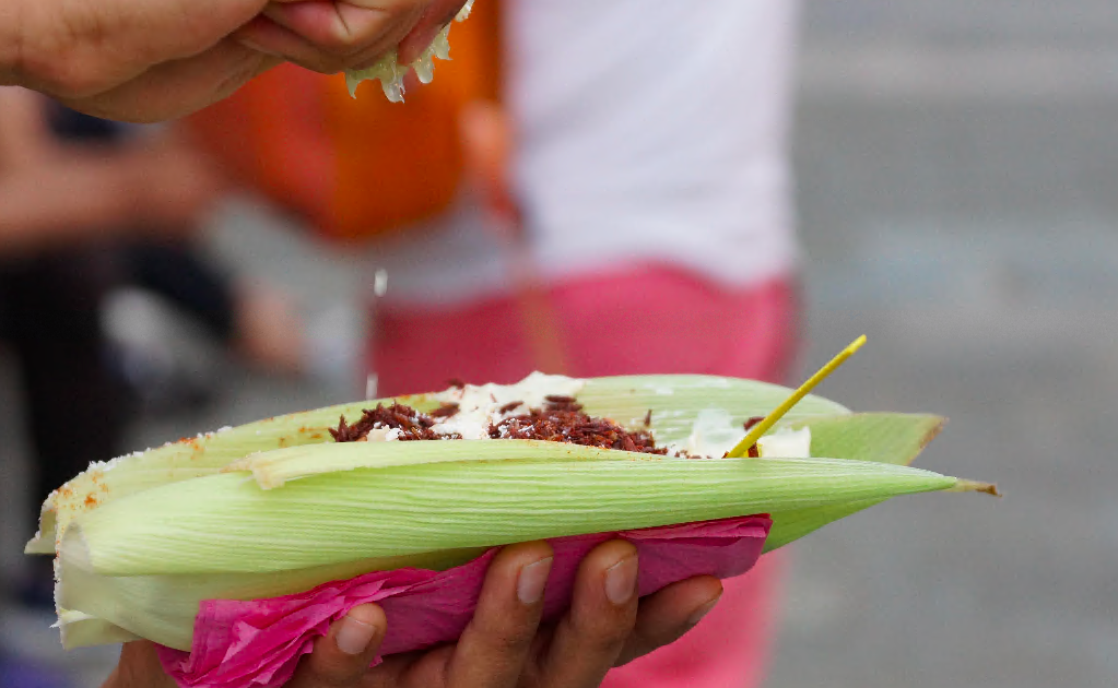 Street food: Mexican corn on the cob 