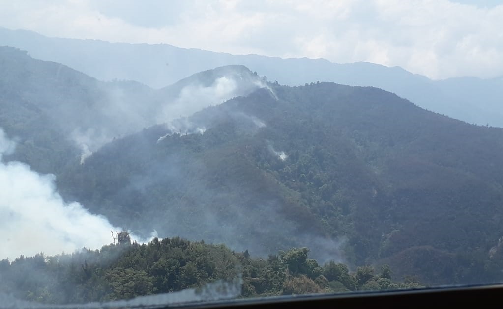 Incendio daña más de 100 hectáreas en reserva El Triunfo, Chiapas