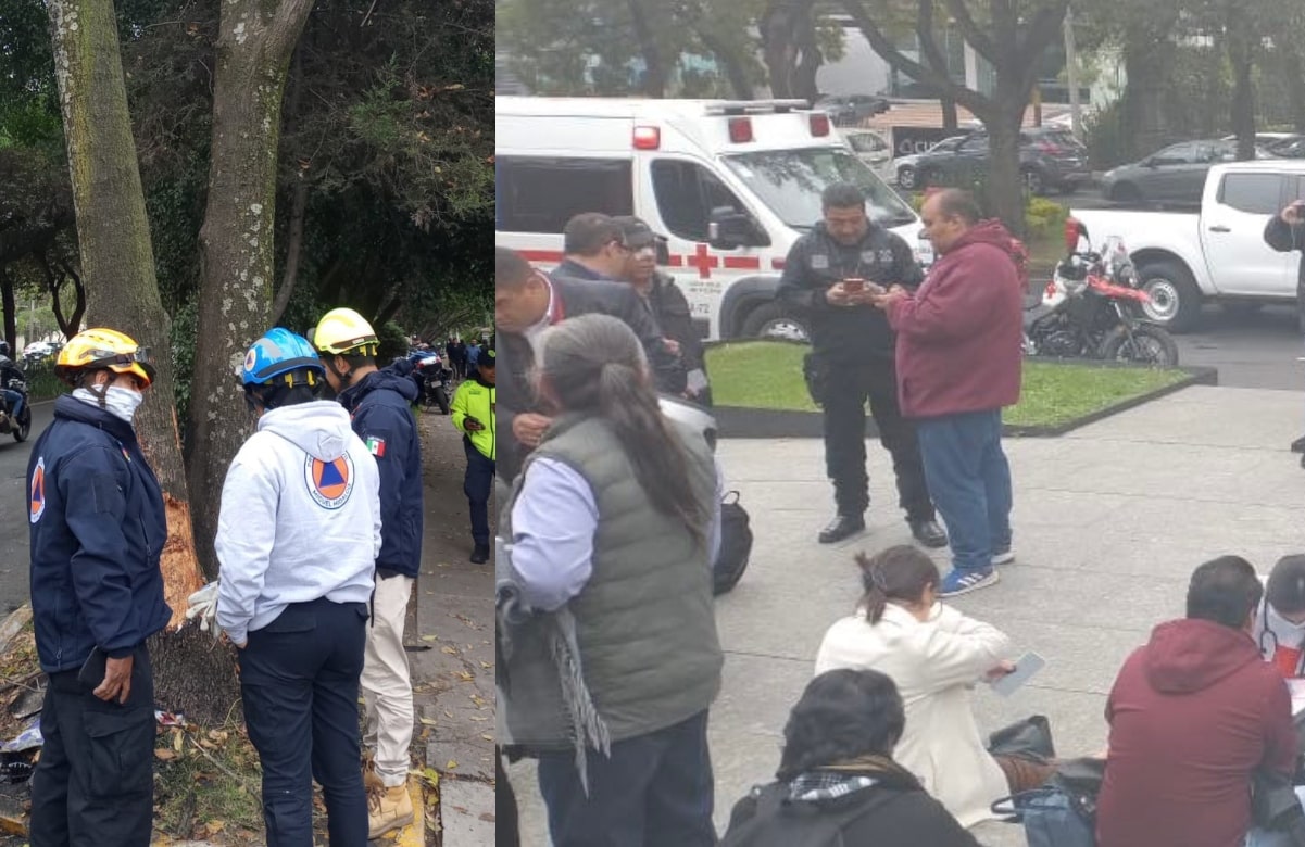 Reportan 25 heridos tras accidente de transporte público sobre Paseo de la Reforma en Lomas de Chapultepec 