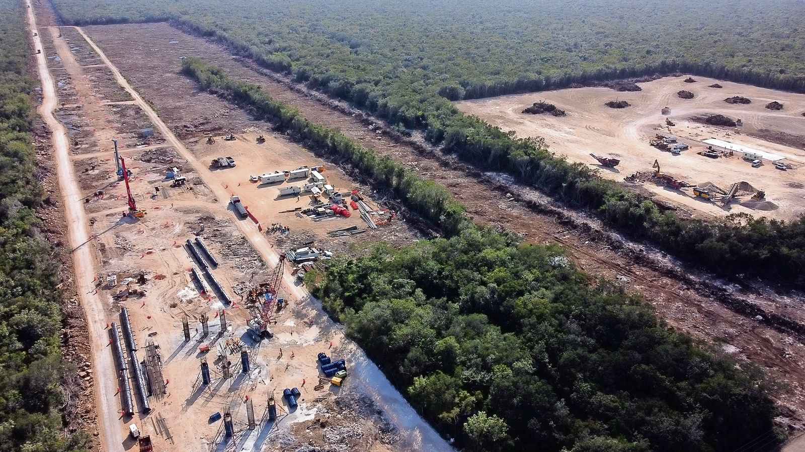 ONG agradece a Semarnat disposición para mitigar daño por el Tren Maya;  buscan recuperar ecosistemas | El Universal