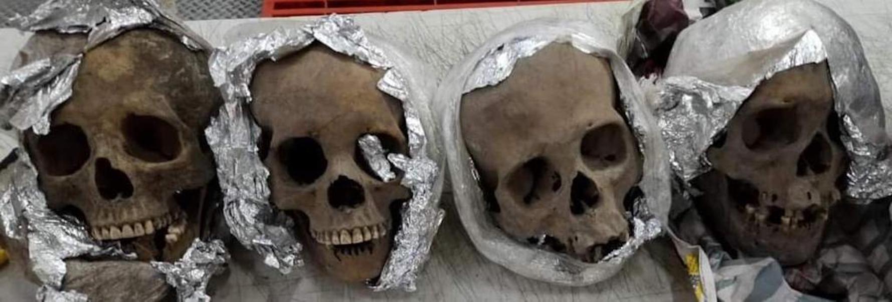 Halla GN cráneos humanos en una paquetería