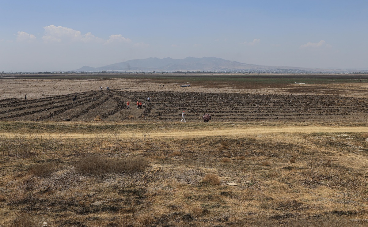 “¡La laguna no se vende, se ama y se defiende!”; realizan jornada de limpieza de lirio en Laguna de Zumpango