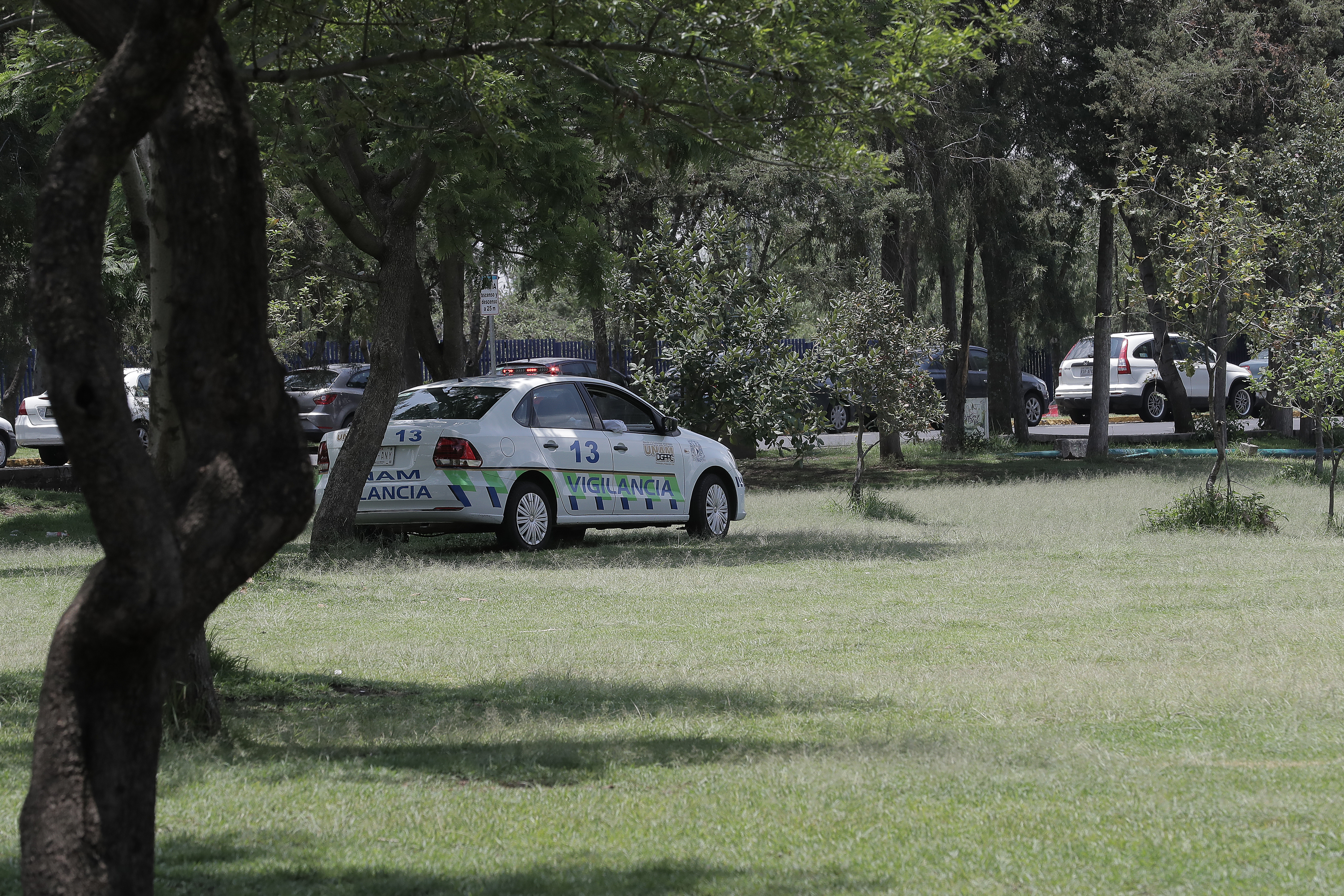 Justifica Graue la colocación de rejas en el frontón de CU