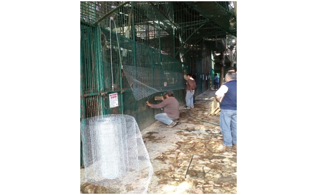 Profepa mantiene bajo estricta supervisión zoológico en Puebla