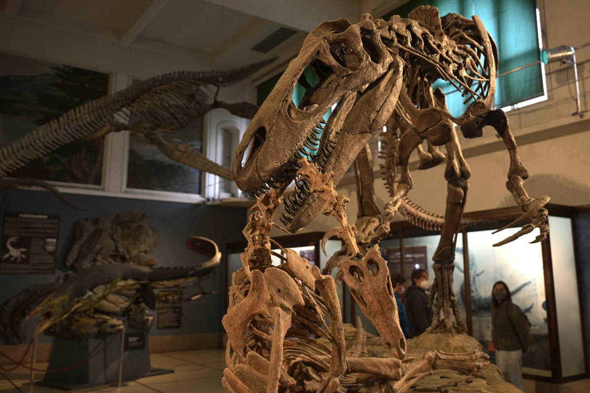 Encuentran restos del megaraptor más grande documentado hasta ahora 