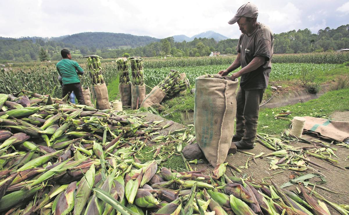 Importación de granos da impulso a la inflación