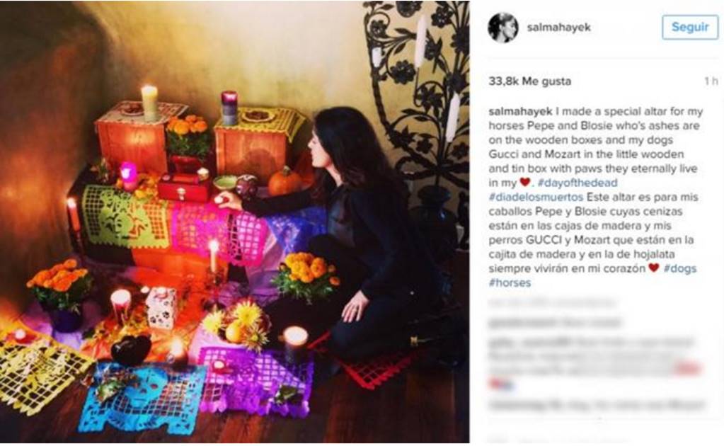 Salma Hayek makes Day of the Dead altar for her pets