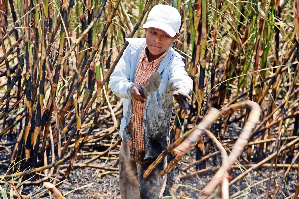 Urgen a STPS a combatir el trabajo infantil