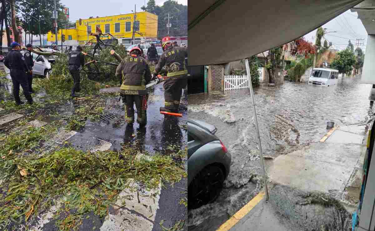Reportan inundaciones y caída de árboles tras intensas lluvias en la CDMX