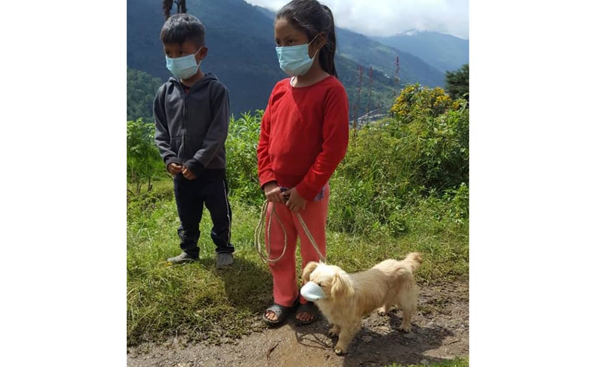 Perrito es llevado a vacunar... con cubrebocas, en Guatemala