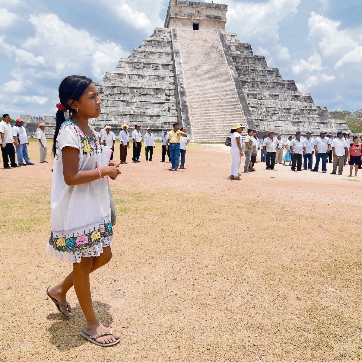 Tren Maya: preocupa en Península afectación al ecosistema  