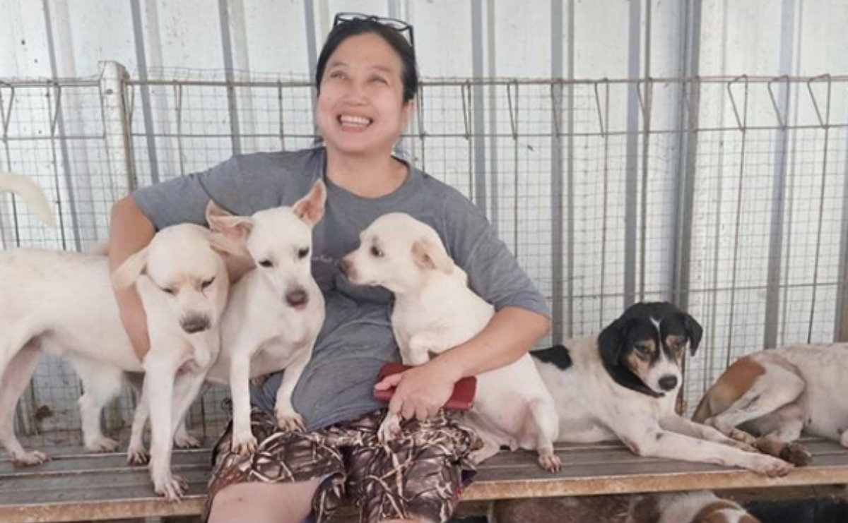 Mujer salva de la muerte a más de 1000 perros en Indonesia