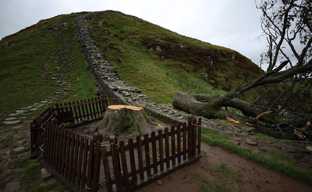 Acusan a dos hombres de talar el "árbol de Robin Hood" en Inglaterra, comparecerán ante un tribunal