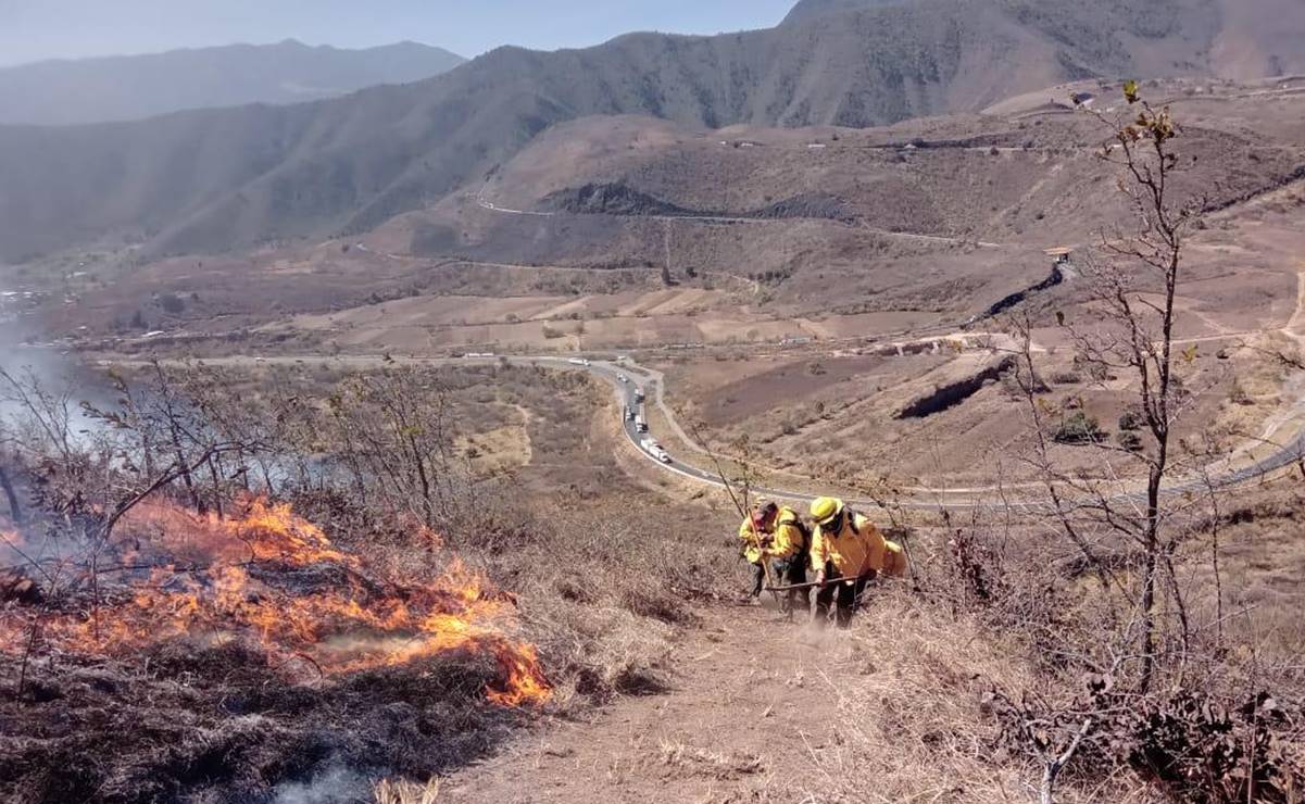 Veracruz combate 15 incendios forestales