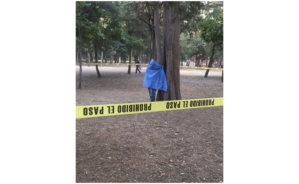 Hallan cuerpo colgado de un árbol en Reforma y Gandhi