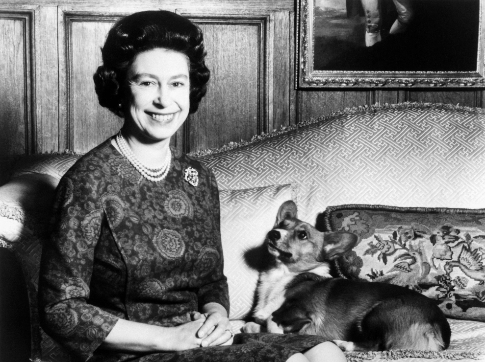 ¿Qué pasará con los corgis de la  reina Isabel II?