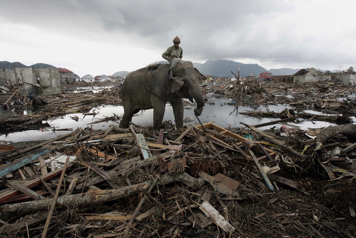 ¿Cómo se produce un tsunami?