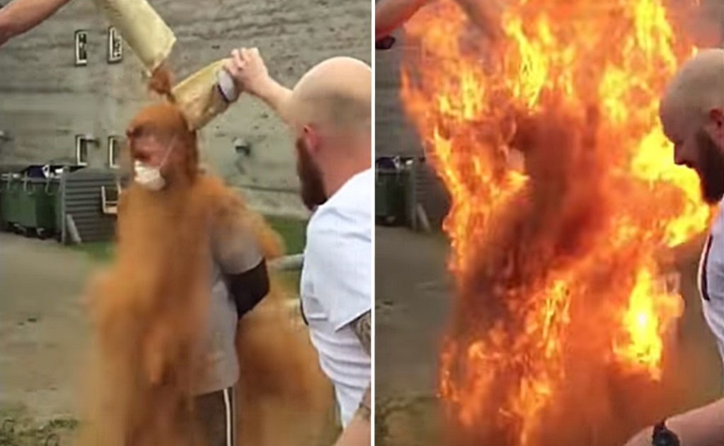Video. Prenden fuego a amigo en su cumpleaños por hacer “ritual de la canela”