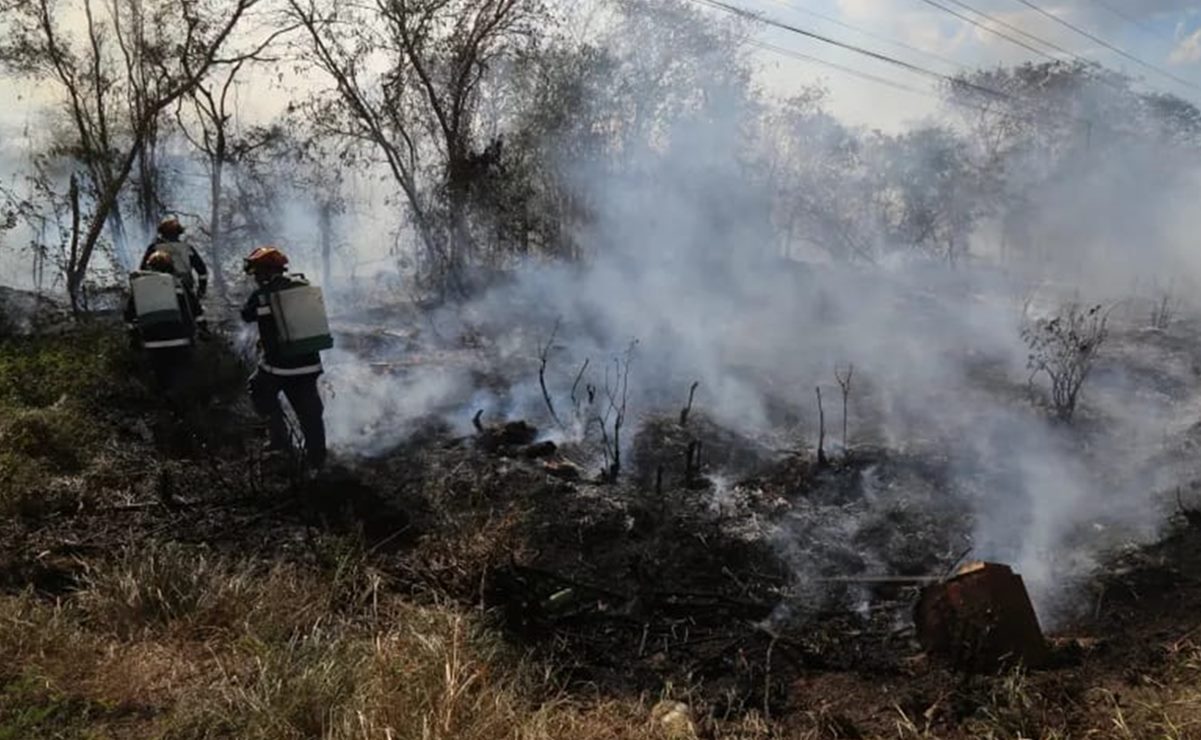 Suman dos mil incendios en Yucatán; es la temporada más intensa de los últimos seis años