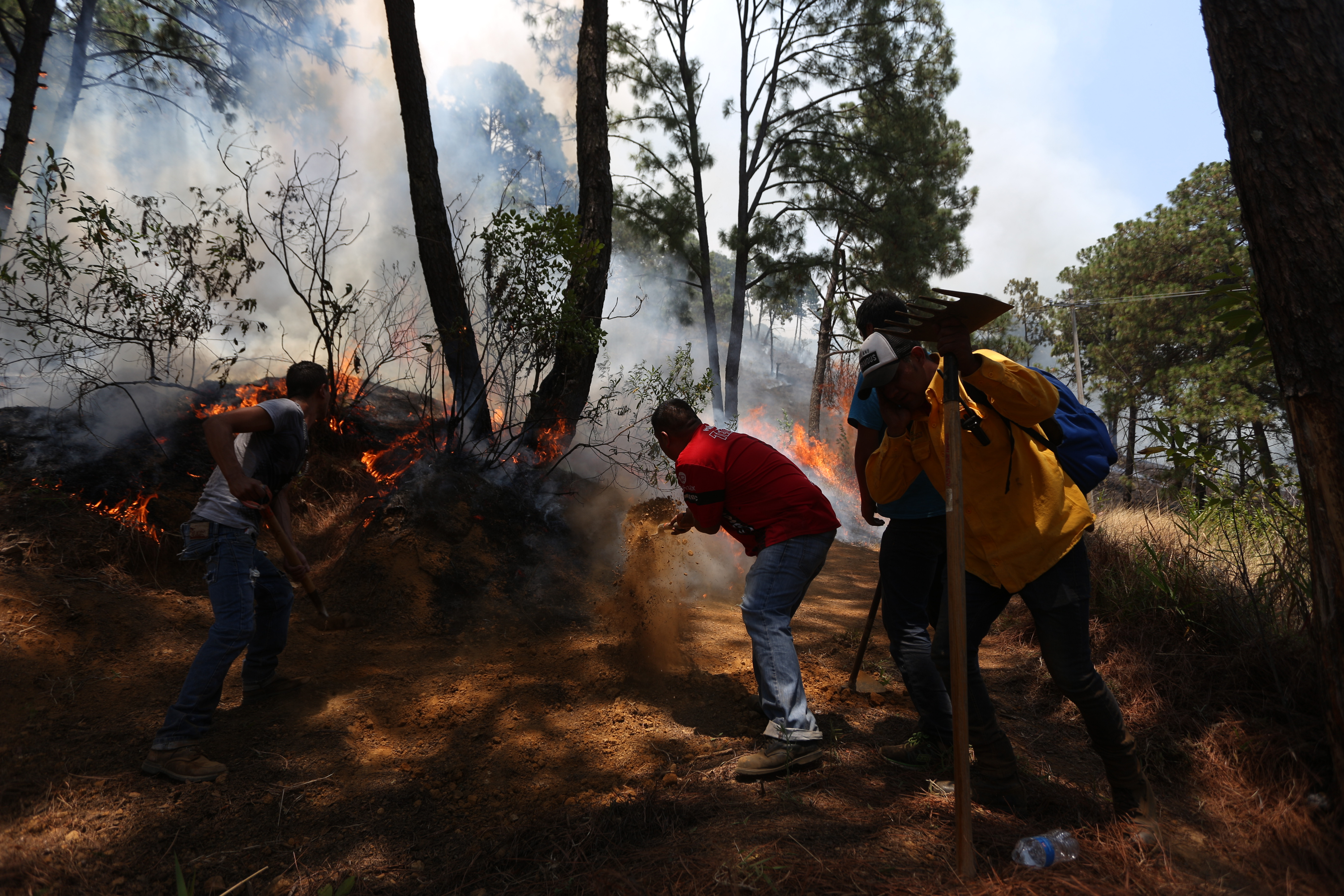Dañan 33 incendios forestales casi mil hectáreas en Michoacán