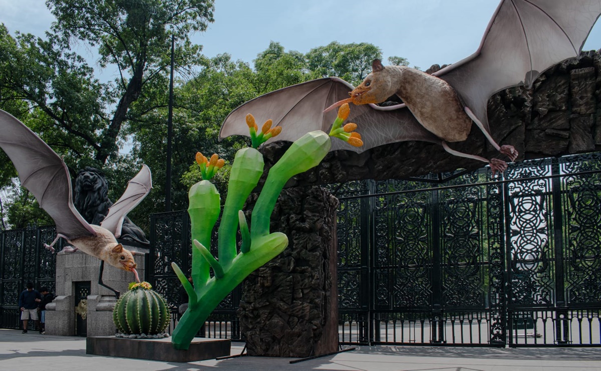 "Festival Quiróptera": Celebrando la vida de los murciélagos en el Bosque de Chapultepec