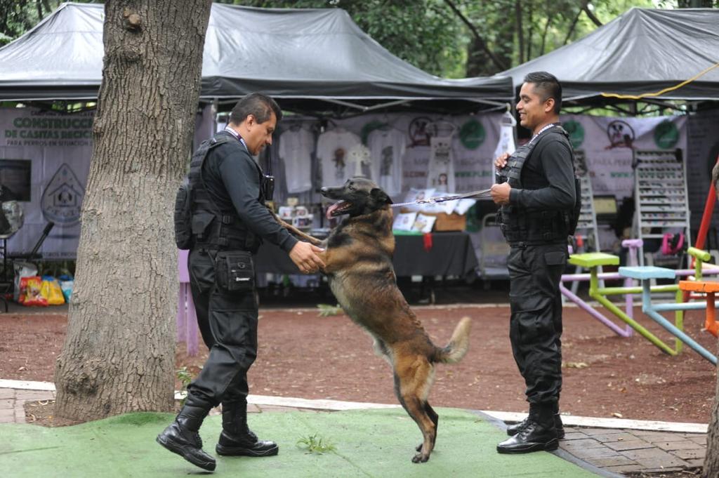 Exhiben unidad canina detecta-bombas de la Cámara de Diputados, en Azcapotzalco