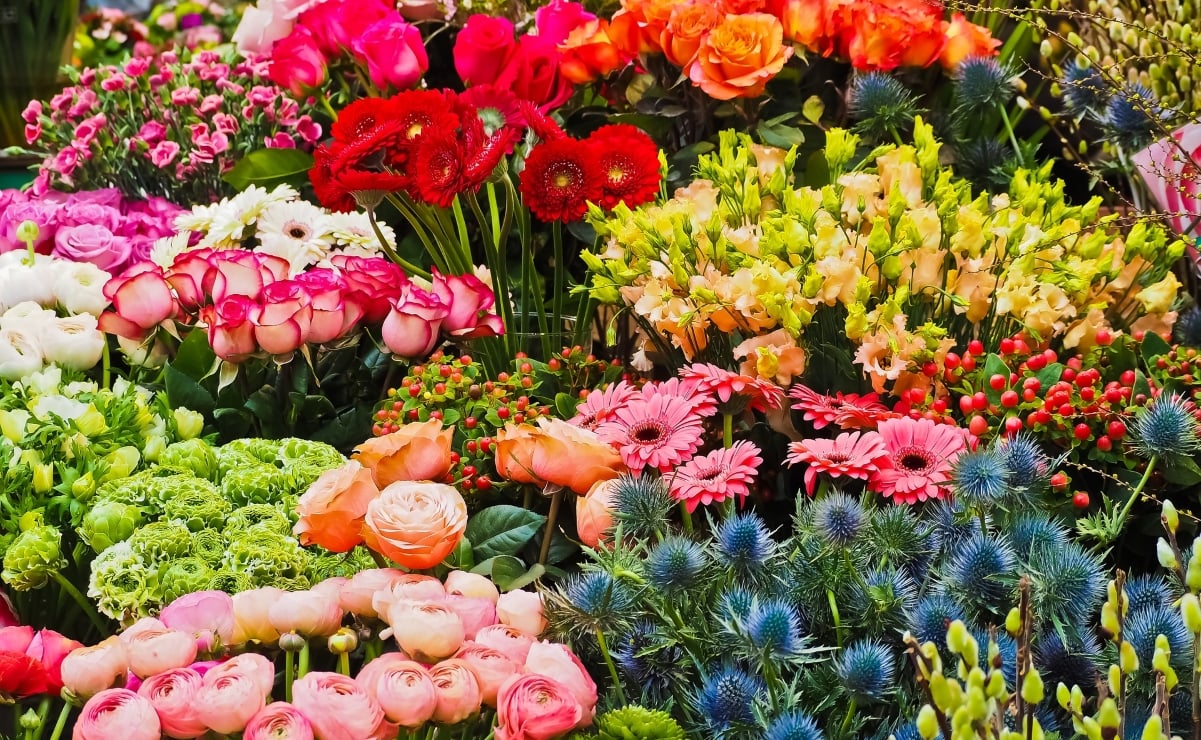 5 lugares donde puedes comprar plantas y flores en Xochimilco