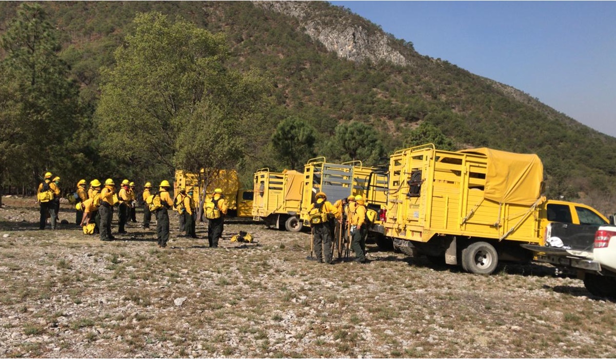 Registra Conafor 51 incendios forestales activos en 15 estados del país