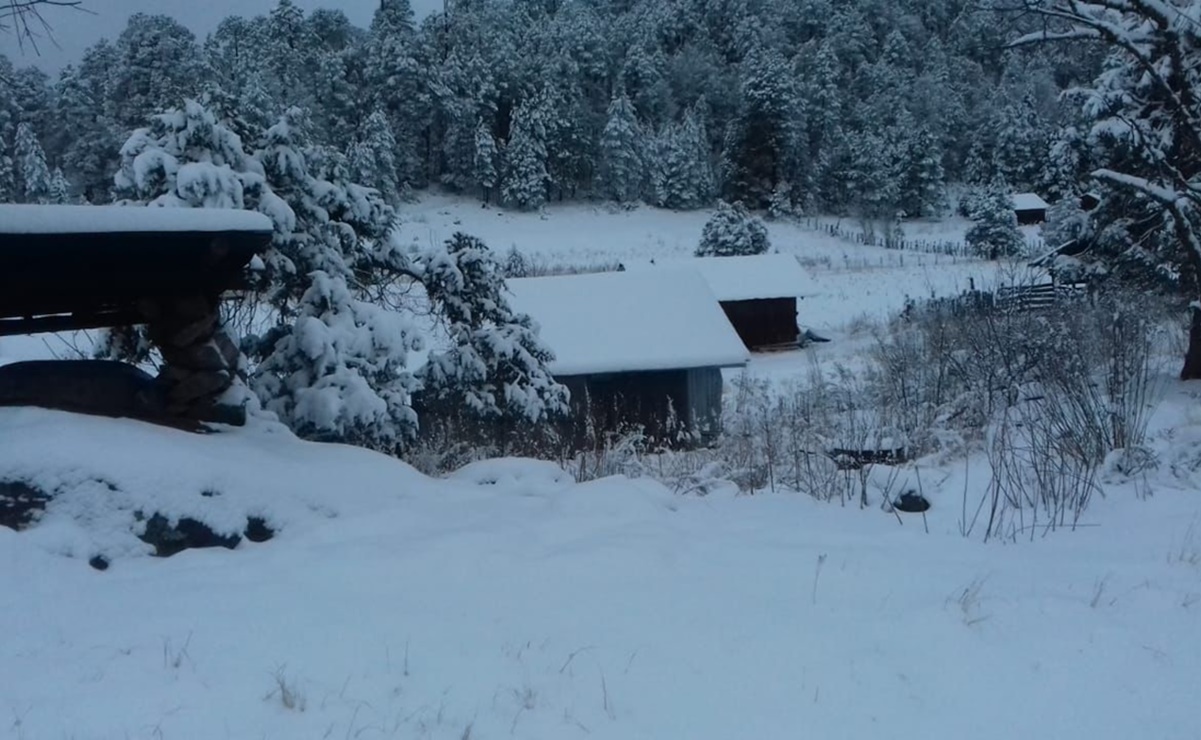 Nieve “pinta de blanco” 11 municipios de Durango 
