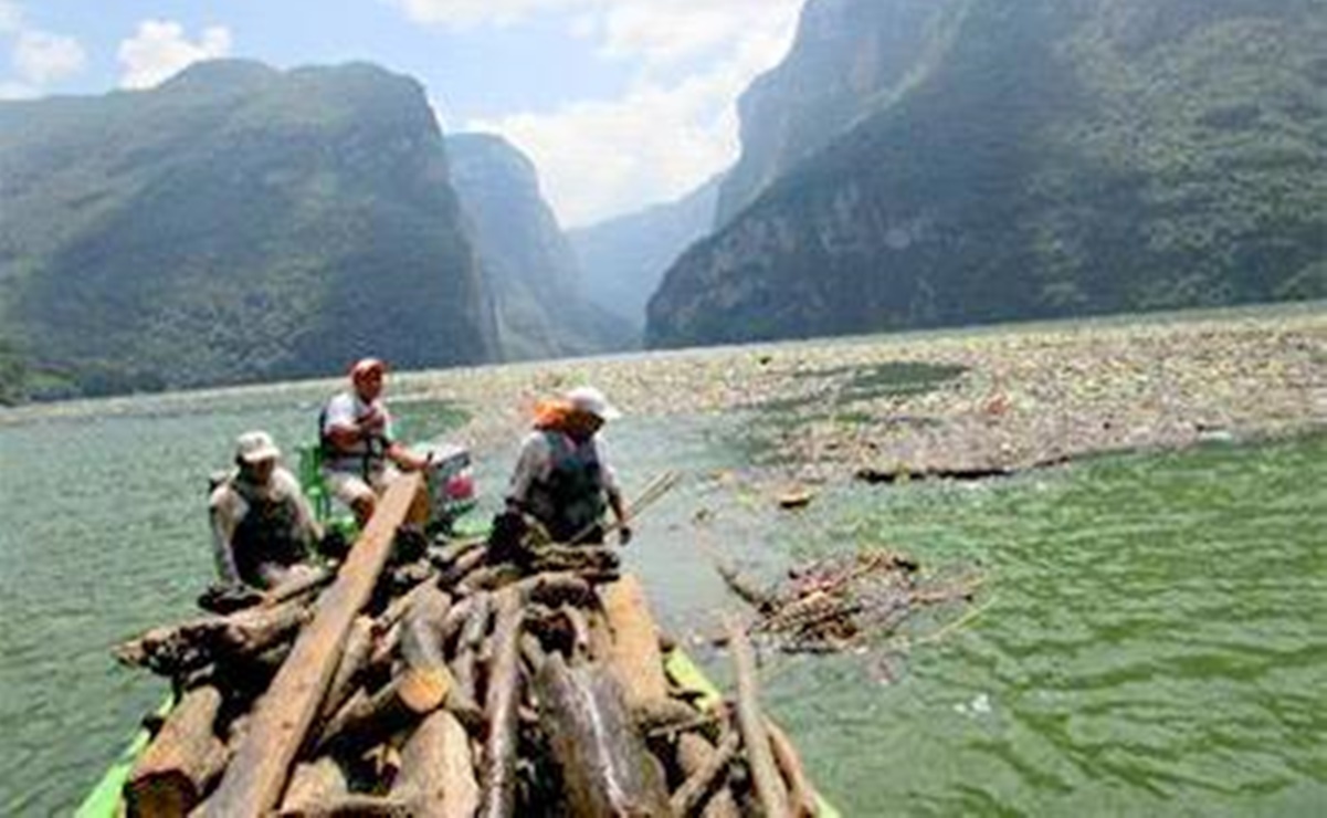 Retiran basura flotante del río Grijalva en el parque nacional Cañón del Sumidero