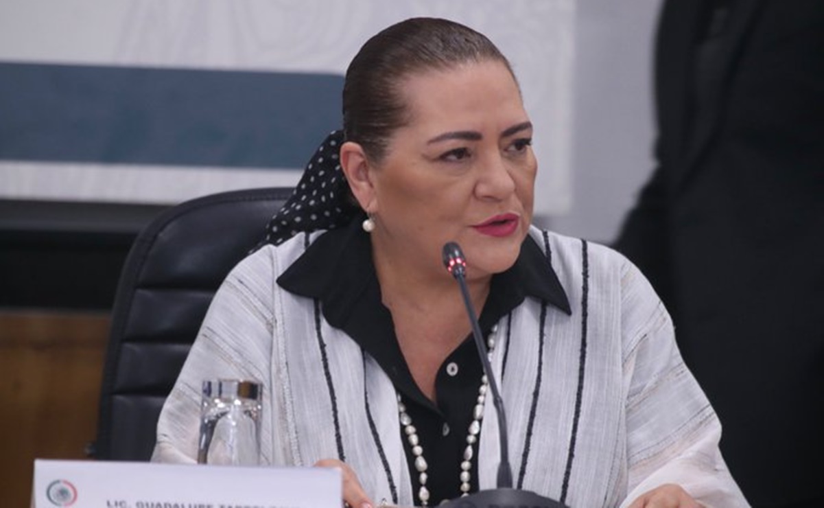 “No hay un solo peso que no tenga sustento”: Guadalupe Taddei defiende ante diputados presupuesto para el INE