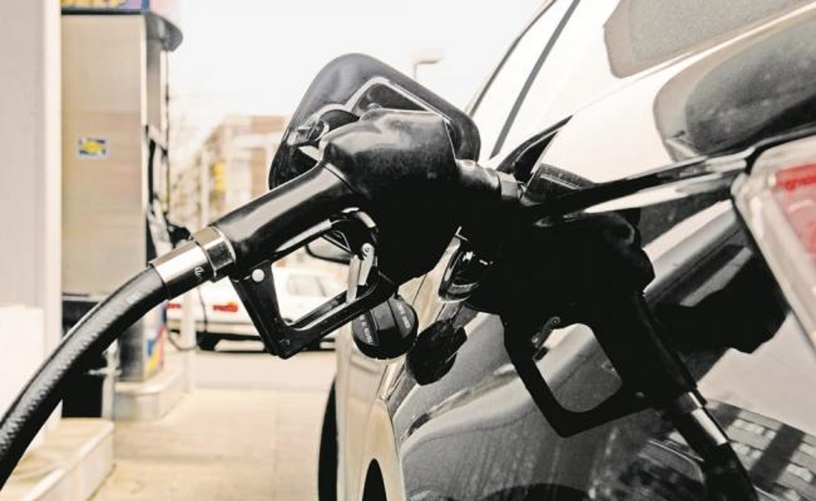 Cofece anuncia investigación contra gasolineras por presunta concentración ilícita