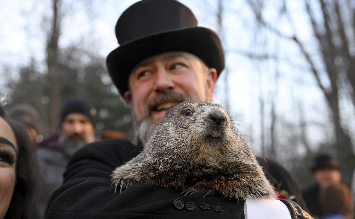 ¿Qué es y cómo se originó el Día de la Marmota en Estados Unidos?