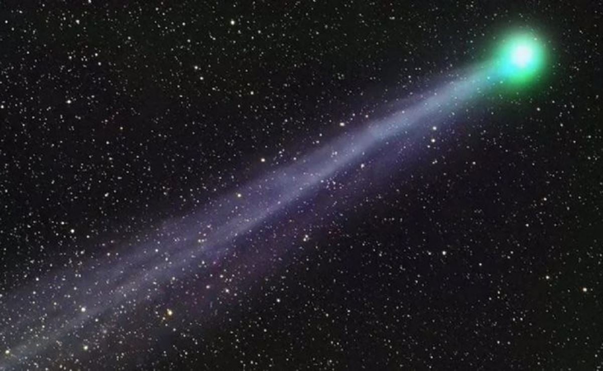 ¿No viste el cometa verde? Checa los mejores videos y fotos