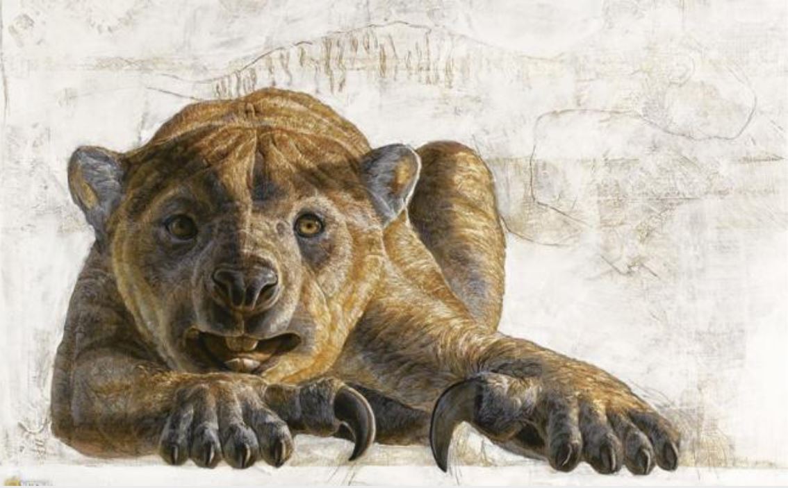 Hallan un fósil del extinto "león marsupial"