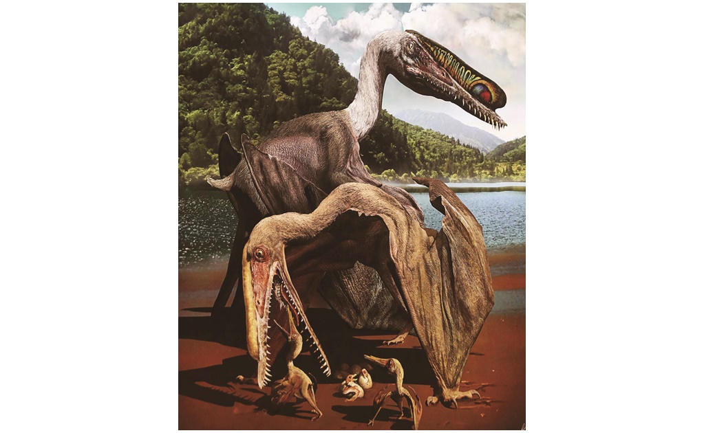 Los pterosaurios volaron como pájaros y no como murciélagos