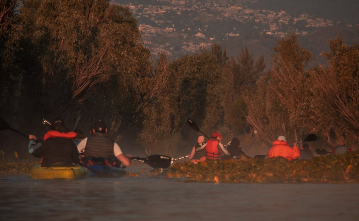 Explora los canales de Xochimilco a bordo de un kayak