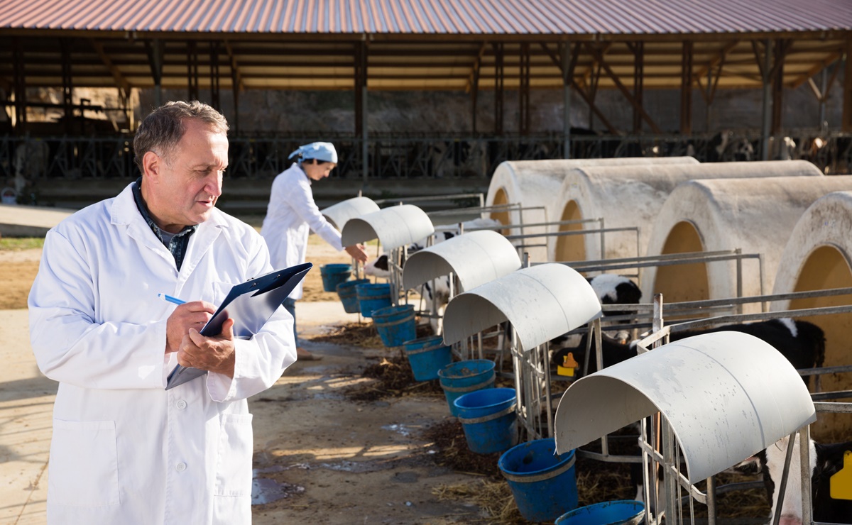 Trabajo en Estados Unidos para veterinarios mexicanos con alojamiento y transporte gratis; el sueldo es de 41,000 pesos mexicanos