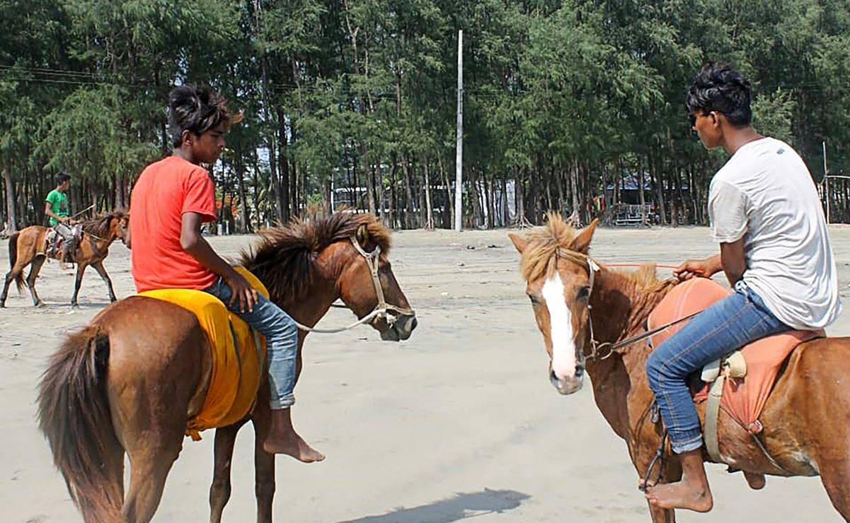 Por falta de turismo, mueren de hambre decenas de caballos en Bangladesh