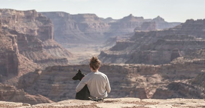 De Las Vegas al Gran Cañón: un tour para ti y tu perro