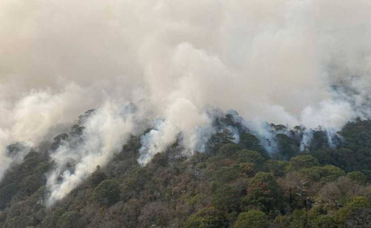 Más de 200 brigadistas combaten incendio en la Reserva de la Biósfera “El Cielo” 