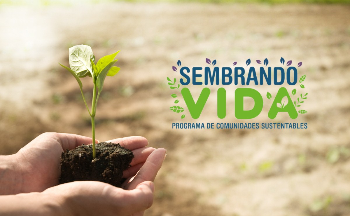 Sembrando Vida en México