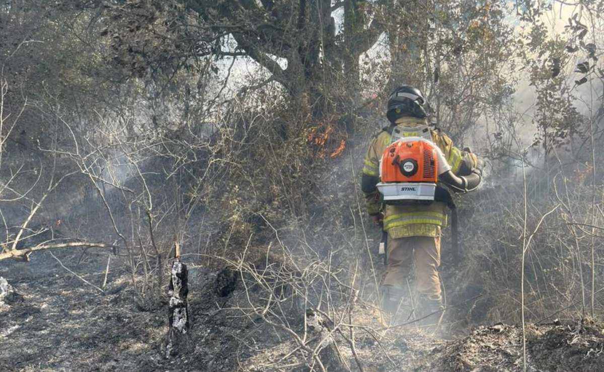 Quema agrícola se descontrola y causa incendio forestal en montaña de Texcoco 